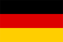 Ninja Verkleidung