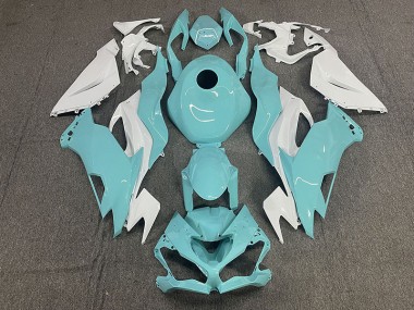 Aqua 19-23 ZX6R Motorrad Verkleidung