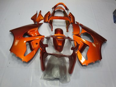 Orange 00-02 ZX6R Motorrad Verkleidung